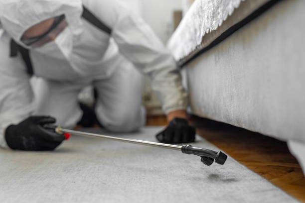 Professional Bed Bug Control technician working in Kaufman County County, TX